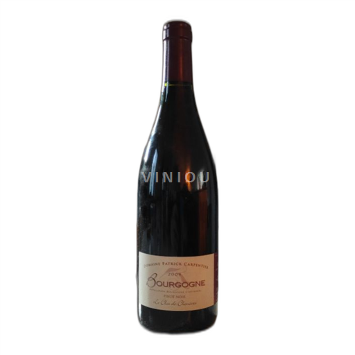 Bourgogne Domaine Patrick Carpentier Le Clos de Chenôves 2009