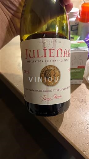 Beaujolais Juliénas Pierre André 2022