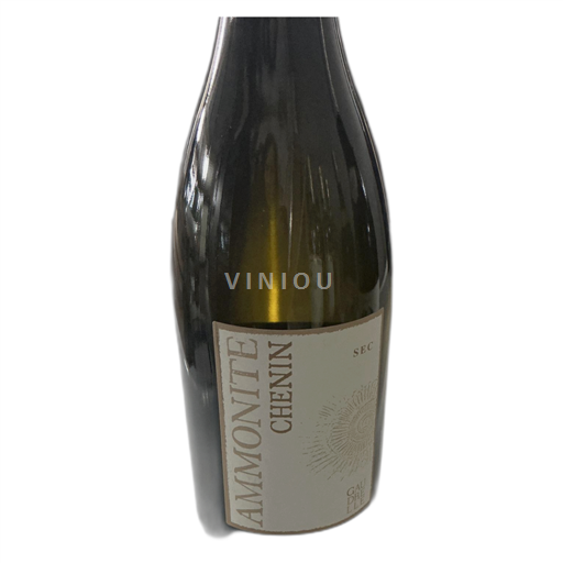 Jura Ammonite 2022