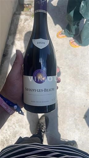 Burgundi Savigny-lès-Beaune Frédéric Magnien 2020