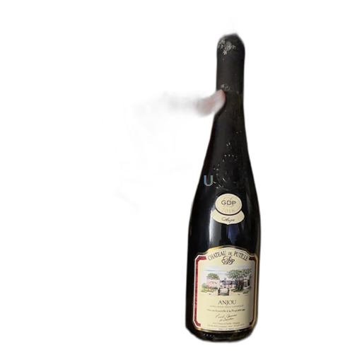 Thung lũng sông Loire Anjou Chateau de Putille 2018