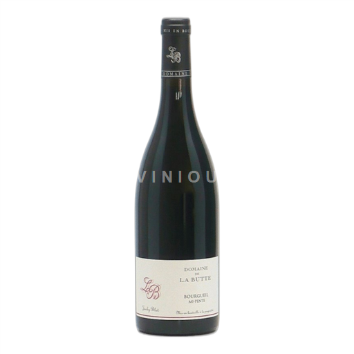 Loiren laakso Bourgueil Domaine de la Butte mi-pente 2015