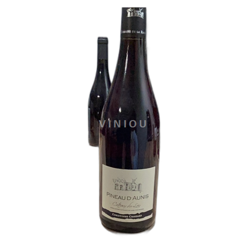 Loire-dalen Coteaux-du-Loir Pineau d'Aunis 2022