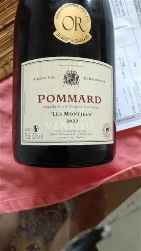 Borgoña Pommard Coste-Caumartin Les Montjeus 2022