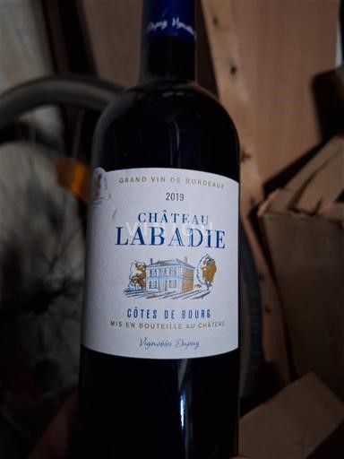 Bordeaux Côtes-de-bourg Château Labadie 2019