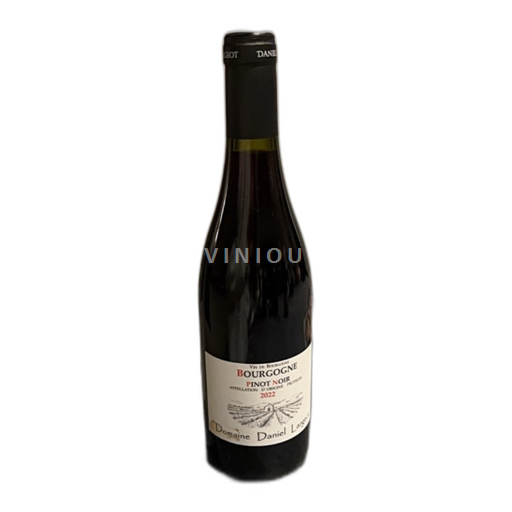 Burgundy Domaine Daniel Largeot 2022