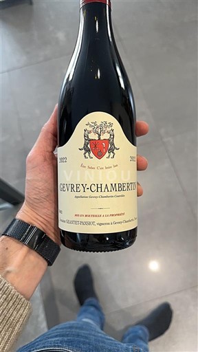 Bourgogne Gevrey-chambertin Premier Cru Domaine Geantet Pansiot 2022