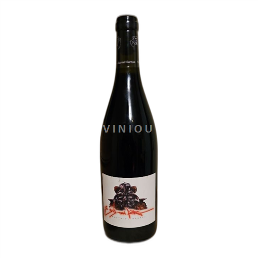Rhône-dalen Cornas Matthieu Barret 2021