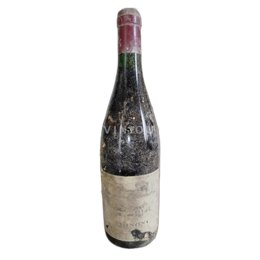 Údolí Loiry Chinon Domaine Bernard Baudry 1998