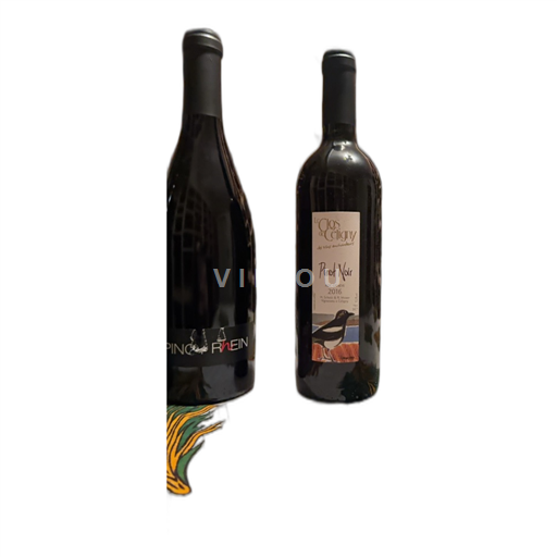 Ginevra Ginevra DOC Le Clos de Céligny Pinot Noir 2016