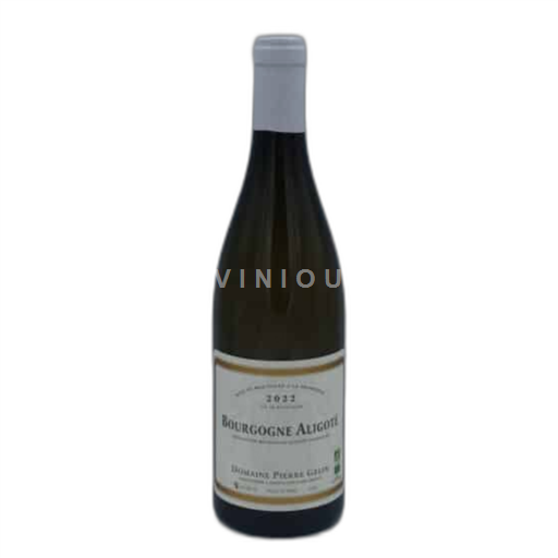 Burgundy Bourgogne Aligoté P. Gery 2022