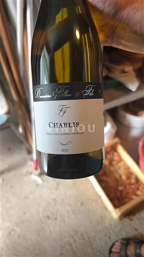 Bourgogne Chablis Domaine Fillon & Fils 2023