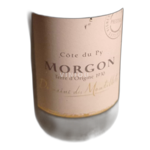 Beaujolais Morgon Domaine des Montilletts 2022