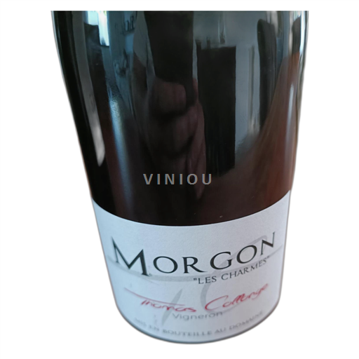 Beaujolais Morgon Les Charmes 2022
