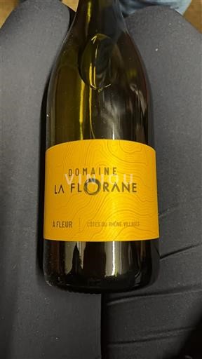 Vallée du Rhône Côtes-du-rhône-villages Domaine La Florane À Fleur Non Millésimé