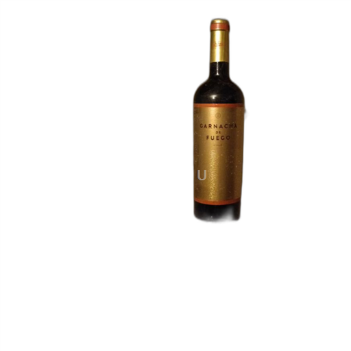 Aragon Calatayud Garnacha de Fuego 2021