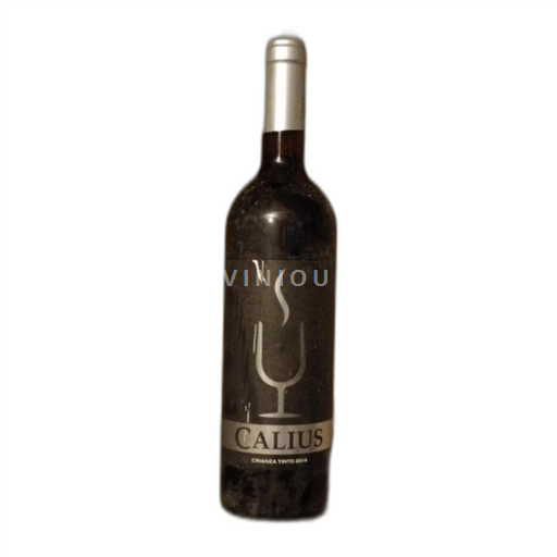 Kanarische Inseln Valle de Güímar Bodegas Cándido Hernández Pío 2014