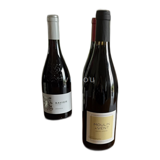 Beaujolais Moulin-à-vent Domaine de RocheMure 2022