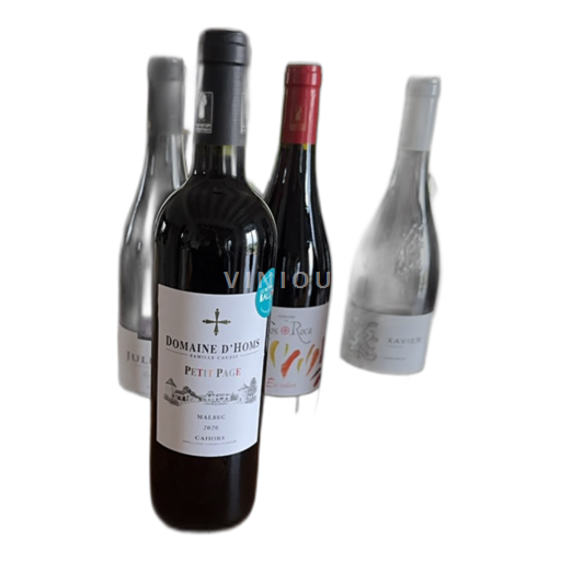 Sud-Ouest Cahors Domaine d'Homs Petit Page 2020