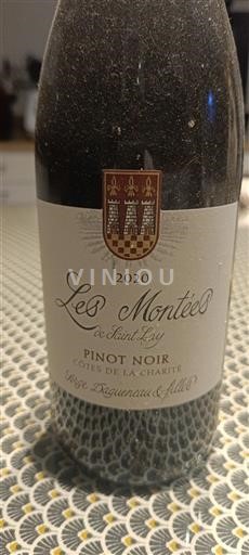 Thung lũng sông Loire Côtes de la Charité Serge Dagueneau & Filles Les Montées de Saint Lay 2020