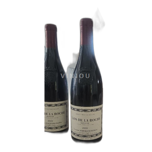 Bourgogne Cận-sơn Domaine Marchand Frères 2020