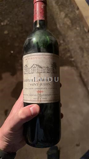 Bordeaux Saint-Julien Chateau Lalande-Borie 1993