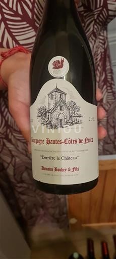 Borgonha Hautes Côtes de Nuits Domaine Bouhey & Fils Derrière le Château 2021