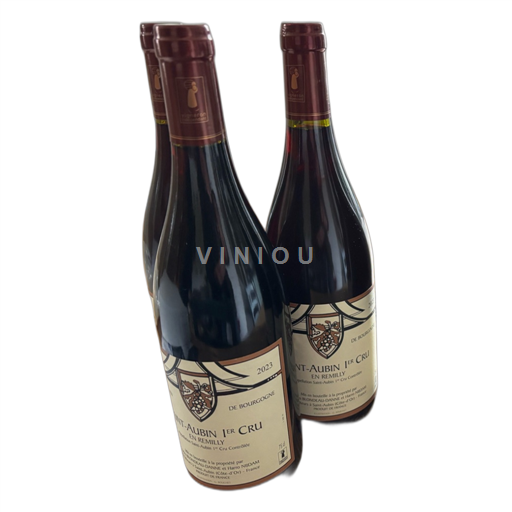 Borgoña San Aubin Premier Cru Charles BLONDEAU-DANNE et Harro NIJDAM En Remilly 2023