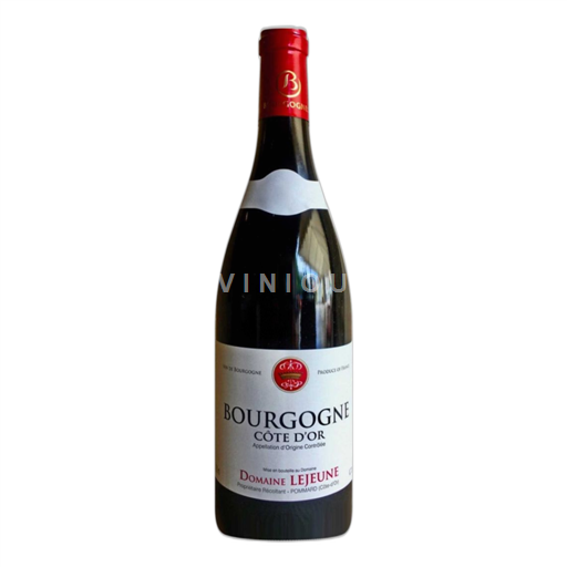 Borgogna Borgogna Côte d'Or Domaine Lejeune 2019