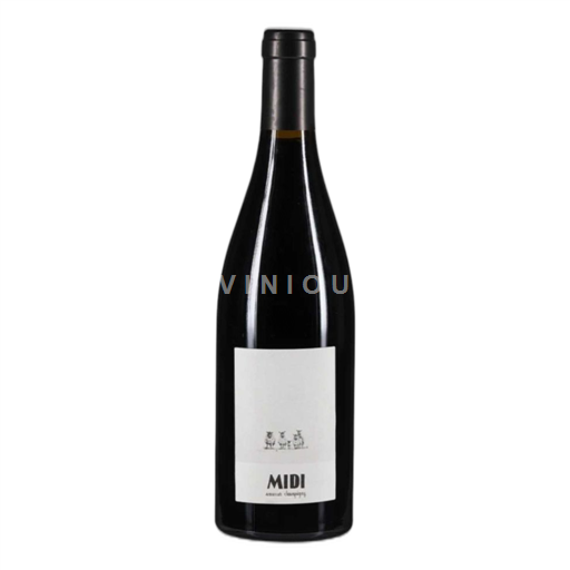 Loirevallei Saumur-champigny Les Clos Maurice Le Clos De Midi 2023
