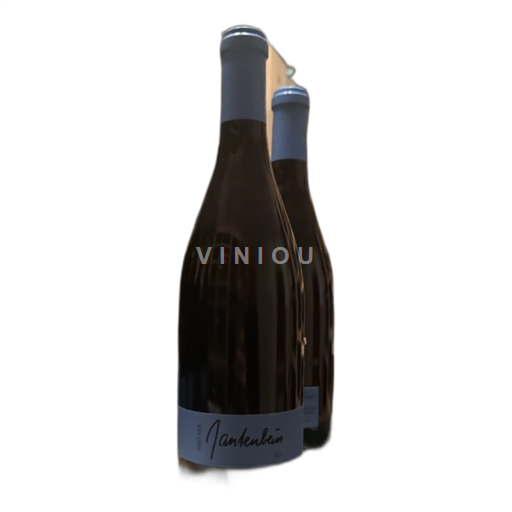 Graubünden Nicht spezifiziert Gantenbein Pinot Noir 2017