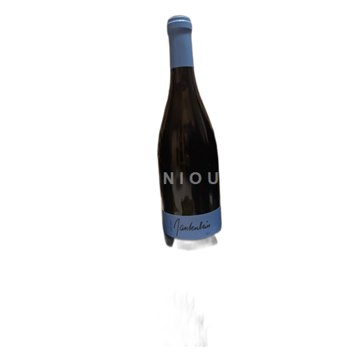 Graubünden Nicht spezifiziert Gantenbein Pinot Noir 2022