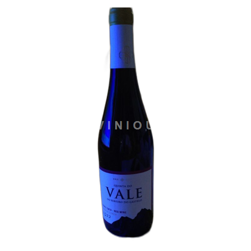 Portugal Dão. Quinta do Vale 2022