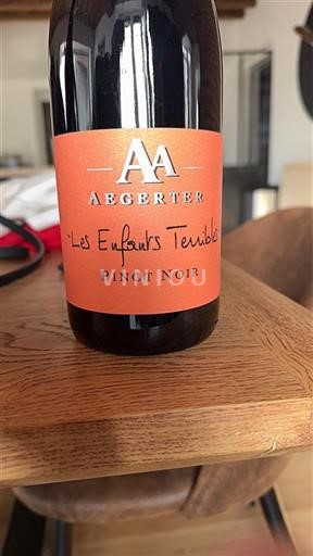 Alsace Pinot noir Aegerter Les Enfants Terribles 2022