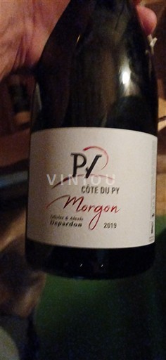 Beaujolais Morgon Olivier & Alexis Depardon Côte du Py 2019