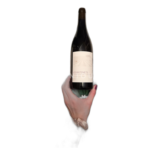 Neuchâtel Neuchâtel AOC Domaine Ruedin Les Ratenets 2022