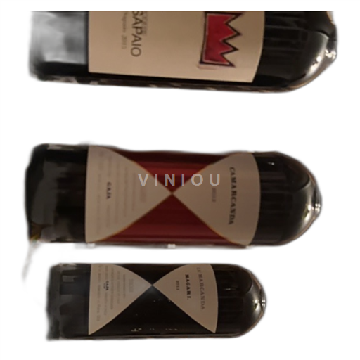 Toscana Bolgheri Camarcanda 2012