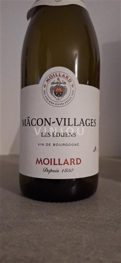 Burgundija Mâcon in Mâcon-villages Moillard Les Eduens 2022