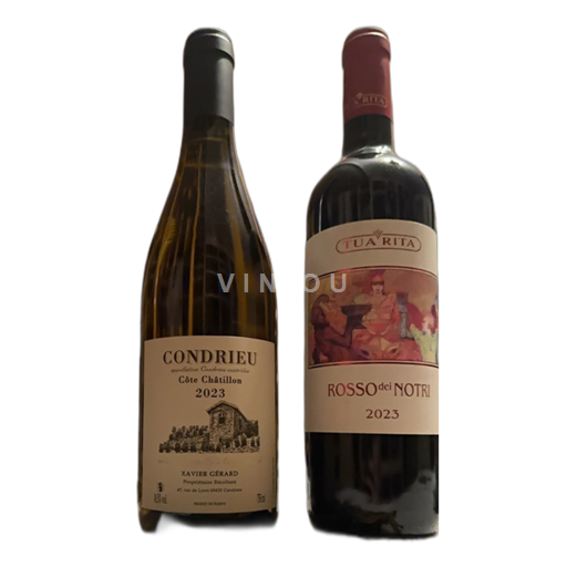Vallée du Rhône Condrieu Xavier Gérard Côte Châtillon 2023