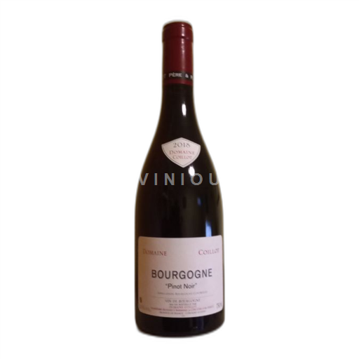 Burgundy Domaine Coillot Pinot Noir 2018