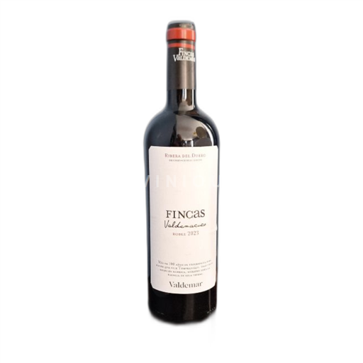 Castilien og León Ribera del Duero Valdemar Fincas 2023