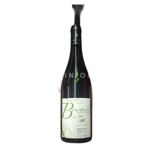 Loiredalen Bourgueil Earl des Vienais PG 2017