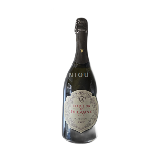Samppanja Määrittelemätön Delagne & Fils Grande Ei vuosikertaa