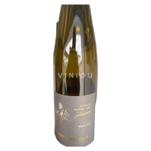 Alsace Riesling Bernard Haas & Fils Grand cru Schlossberg 2022