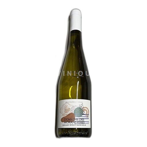 Vin Blanc sec Domaine Des Morandieres 2023 France Vallée de la Loire Muscadet-sèvre-et-maine AOC