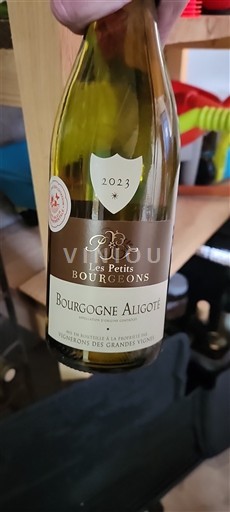 Bourgogne Bourgogne Aligoté Les Petits Bourgeons 2023