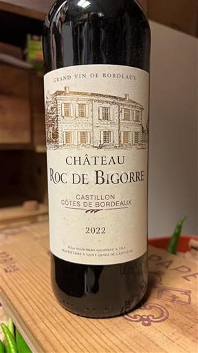 Bordeaux Castillon-côtes-de-bordeaux Château Roc de Bigorre 2022
