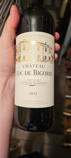 Bordeaux Castillon-côtes-de-bordeaux Château Roc de Bigorre 2022