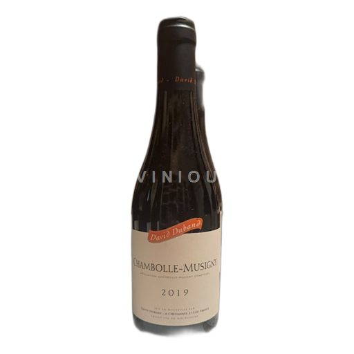 Borgogna Chambolle-Musigny David Duband 2019