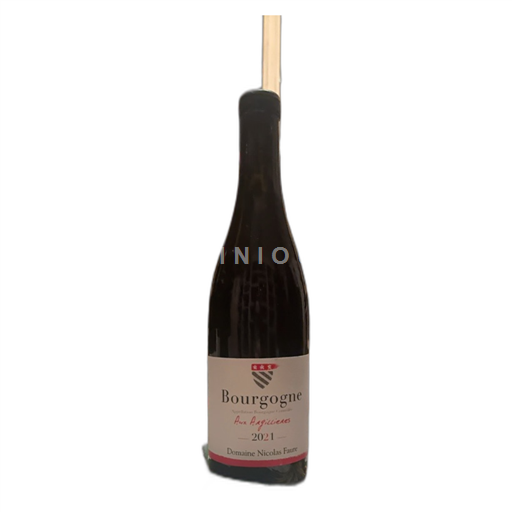 Bourgogne Domaine Nicolas Faure Aux Argillières 2021